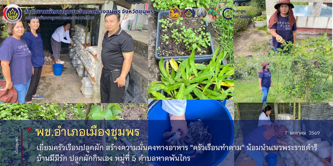 พช.เมืองชุมพร เยี่ยมครัวเรือนปลูกผัก สร้างความมั่นคงทางอาหาร "ครัวเรือนทำตาม"​ น้อมนำแนวพระราชดำริ บ้านมีมีรัก ปลูกผักกินเอง หมู่ที่ 5 ตำบลหาดพันไกร