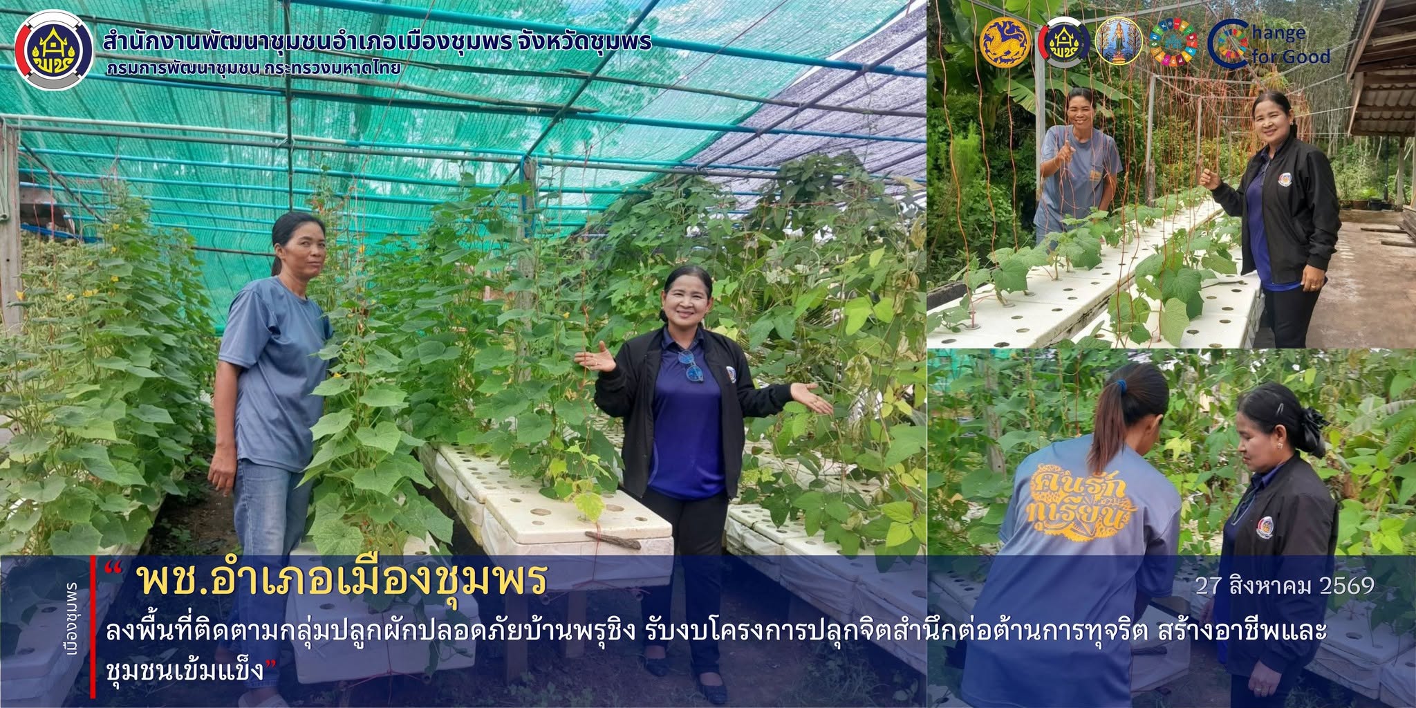 พช.เมืองชุมพร ลงพื้นที่ติดตามกลุ่มปลูกผักปลอดภัยบ้านพรุชิง รับงบโครงการปลุกจิตสำนึกต่อต้านการทุจริต สร้างอาชีพและชุมชนเข้มแข็ง